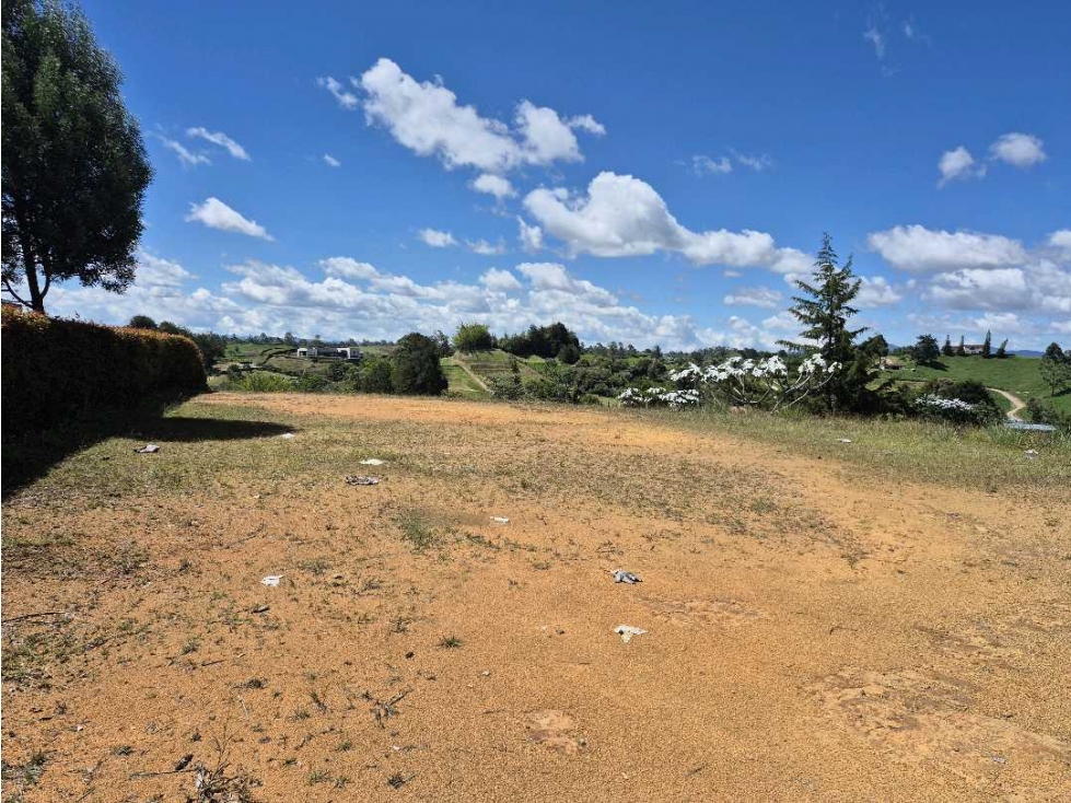 Se vende lote via la ceja san Antonio de pereira