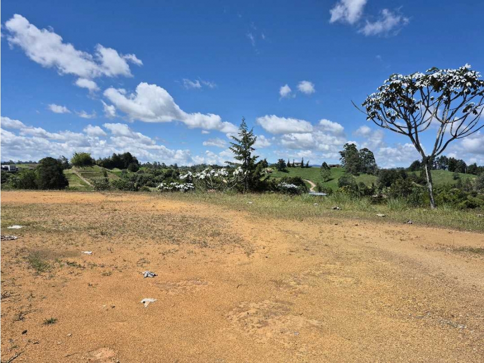 Se vende lote via la ceja san Antonio de pereira — foto 2