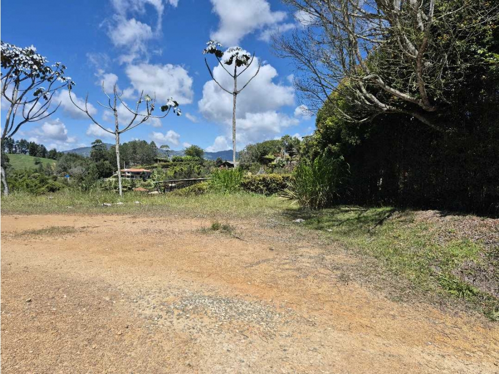 Se vende lote via la ceja san Antonio de pereira — foto 3