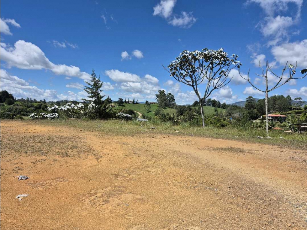 Se vende lote via la ceja san Antonio de pereira — foto 4