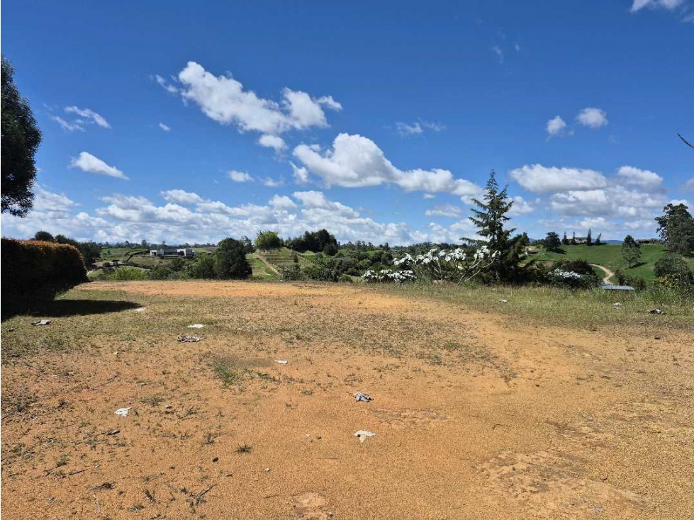 Se vende lote via la ceja san Antonio de pereira — foto 5
