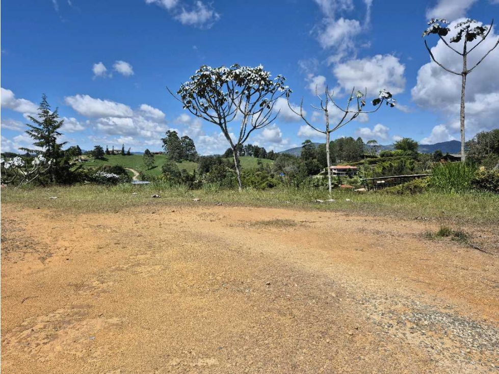 Se vende lote via la ceja san Antonio de pereira — foto 6