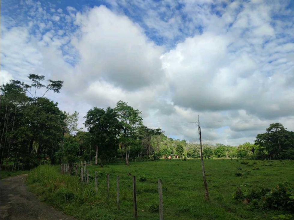 *SE VENDE LOTE VIA PLANETA RICA*