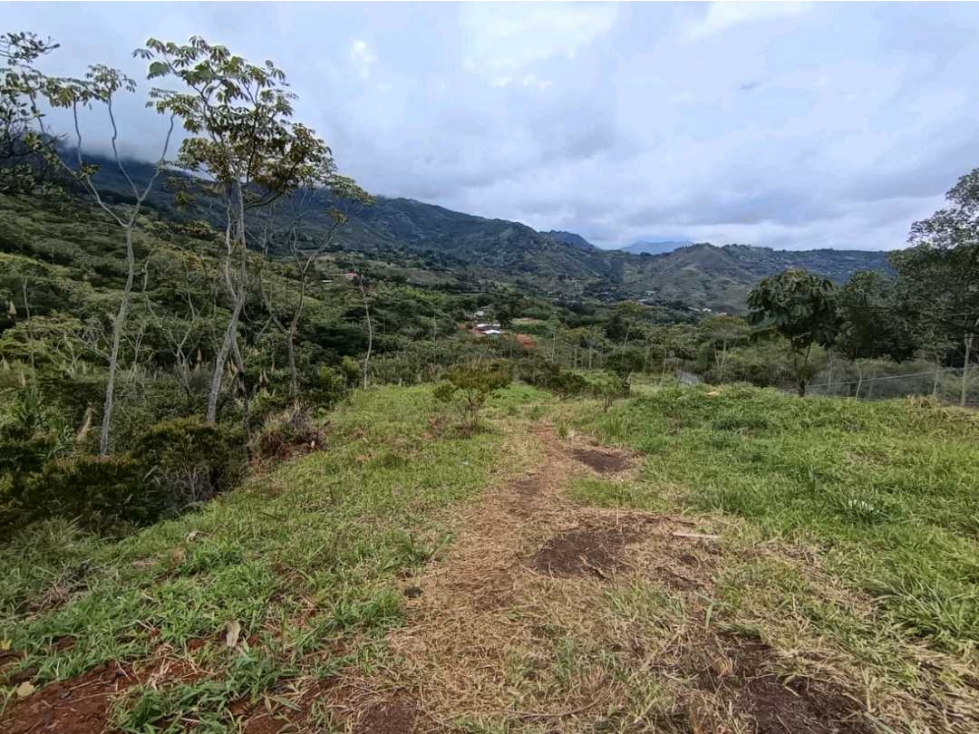 Se vende lote de 1800 mtr2 la reforma. Par..La Jimena AS 9509196 — foto 4