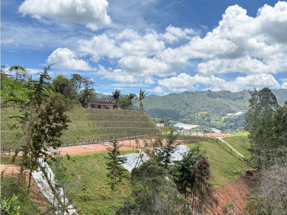 Se venden lotes de 2.000 m2 en condomio Entrebosque, San Vicente — foto 6
