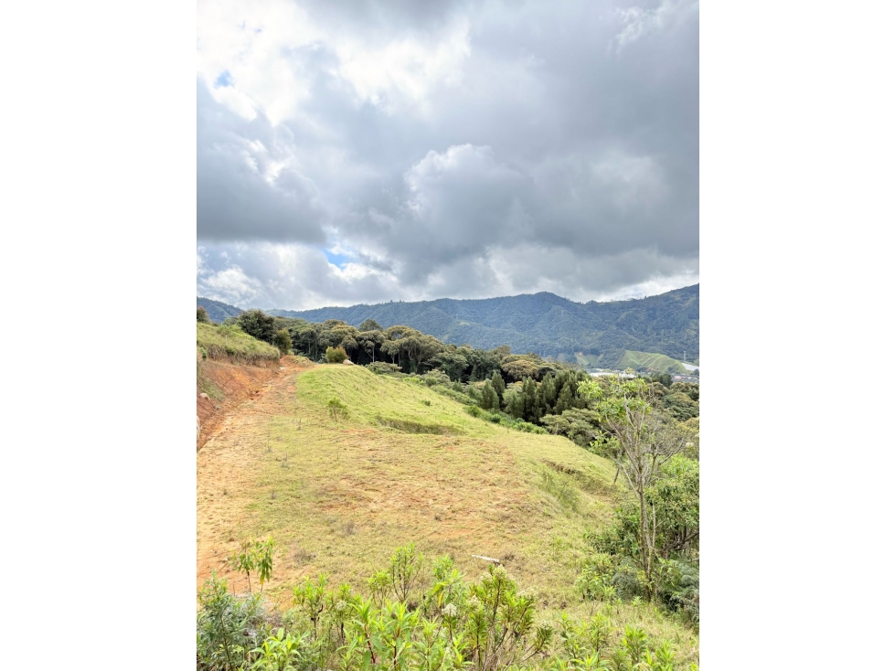 Se vende lotes desde 3.300 m2 con hermosa vista, El Carmen de Viboral — foto 4