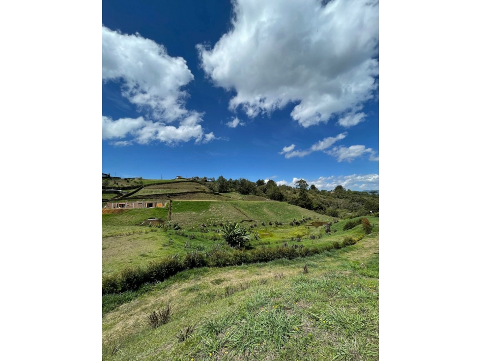 Se vende lotes de 2.000 m2 en Aires de Samaria, El Carmen de Viboral — foto 3