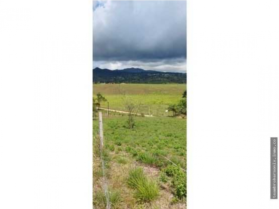 SE VENDE LOTES EN PAVAS LA CUMBRE IC10462583 - 2