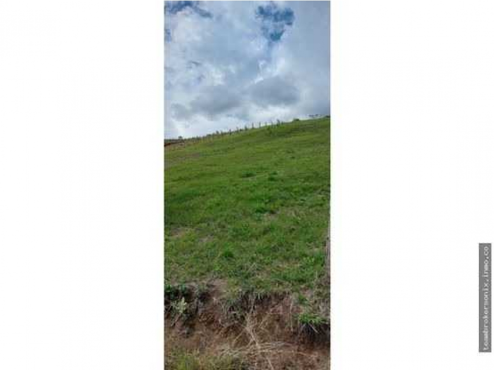 SE VENDE LOTES EN PAVAS LA CUMBRE IC10462583 - 3