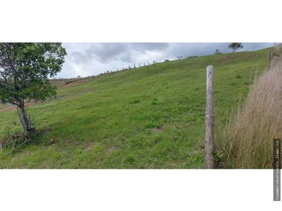 SE VENDE LOTES EN PAVAS LA CUMBRE IC10462583 - 4