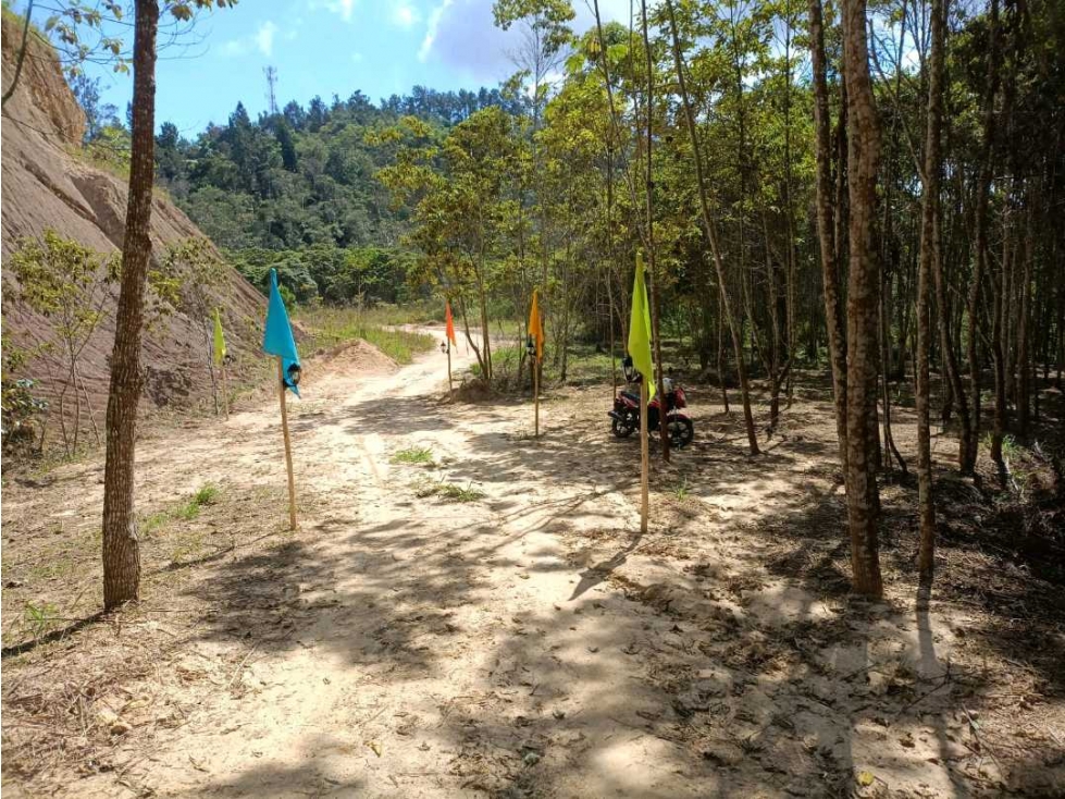 SE VENDE LOTES LEBRIJA VIA PEAJE AL AEROPUERTO - 3