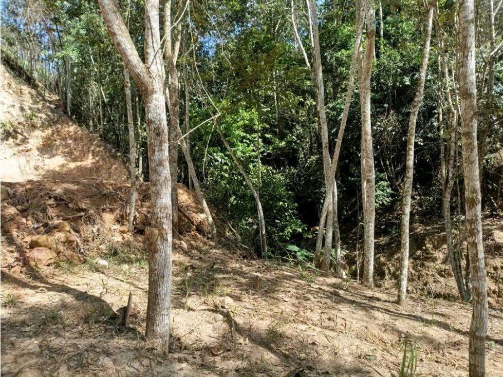 SE VENDE LOTES LEBRIJA VIA PEAJE AL AEROPUERTO - 4