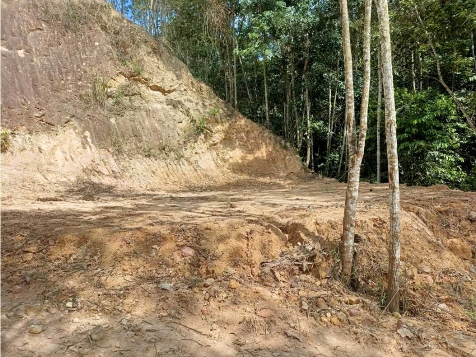 SE VENDE LOTES LEBRIJA VIA PEAJE AL AEROPUERTO - 5