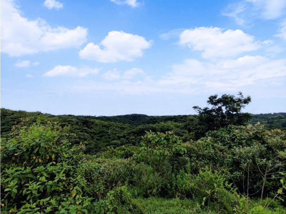 Finca en venta en Achiote Colón. 46 Hectáreas tituladas.. - 1