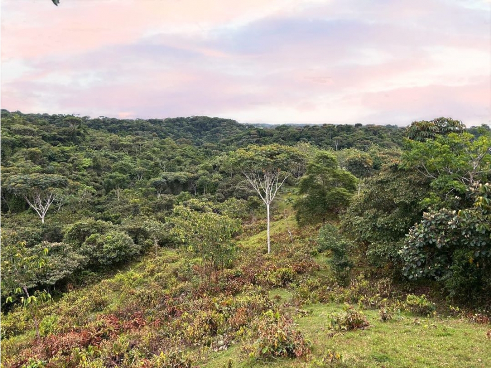Finca en venta en Achiote Colón. 46 Hectáreas tituladas.. - 3
