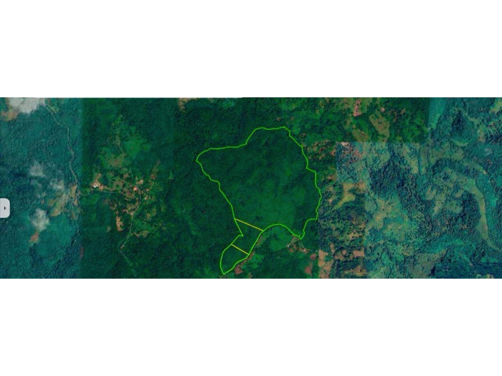 Finca en venta en Achiote Colón. 46 Hectáreas tituladas.. - 5