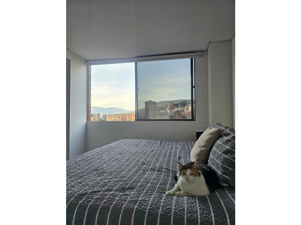 SE VENDE PENTHOUSE EN EL POBLADO SECTOR MILLA DE ORO — foto 3