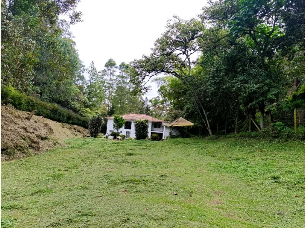 Se vende propiedad comercial via la ceja san Antonio de pereira — foto 3