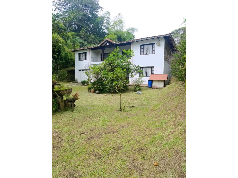 Se vende propiedad comercial via la ceja san Antonio de pereira — foto 6
