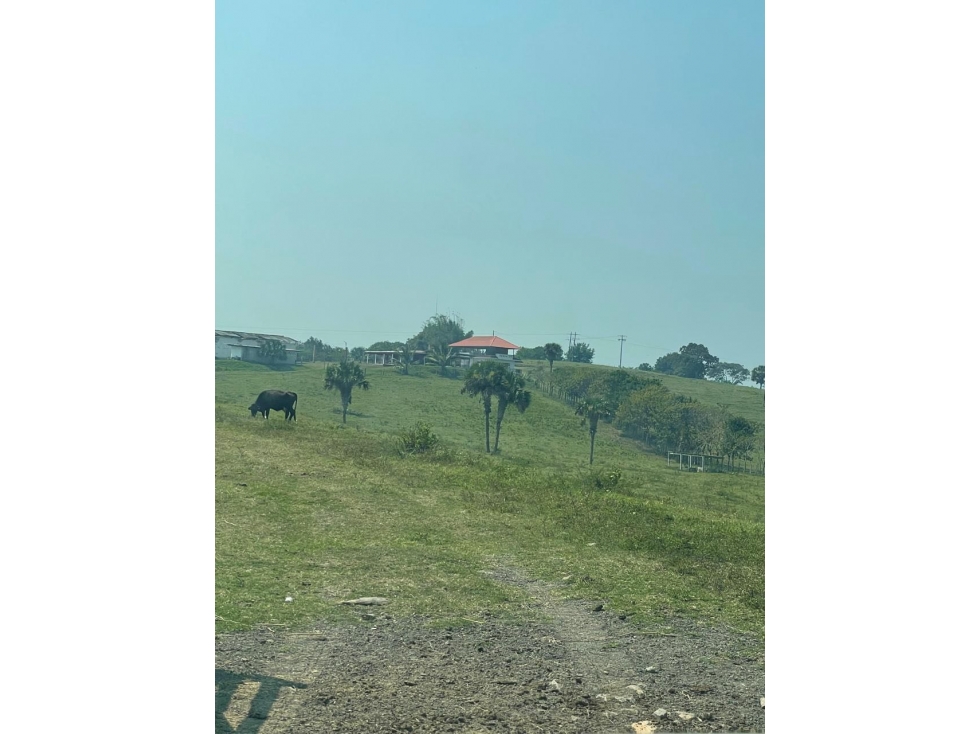 SE VENDE RANCHO EN TUXPAN VERACRUZ - 2