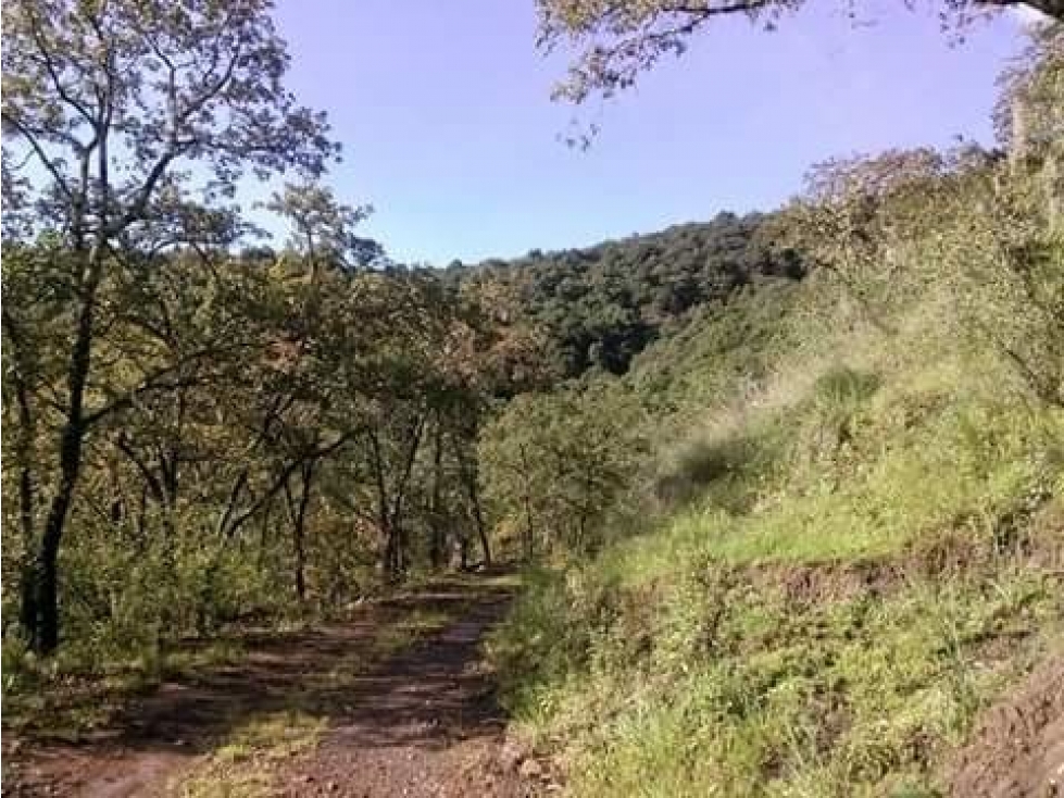 Se vende terreno boscoso en Omitlan de Juarez, Hidalgo
