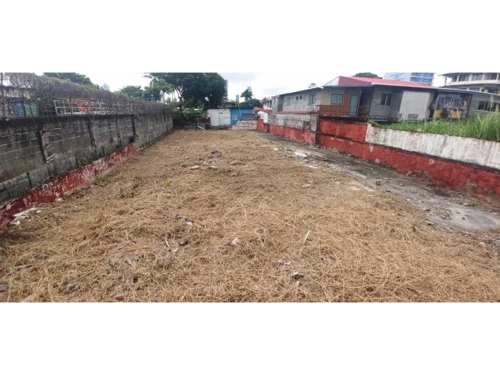 Se Vende TERRENO!! Con Excelente ubicación en Parque Lefevre. - 1