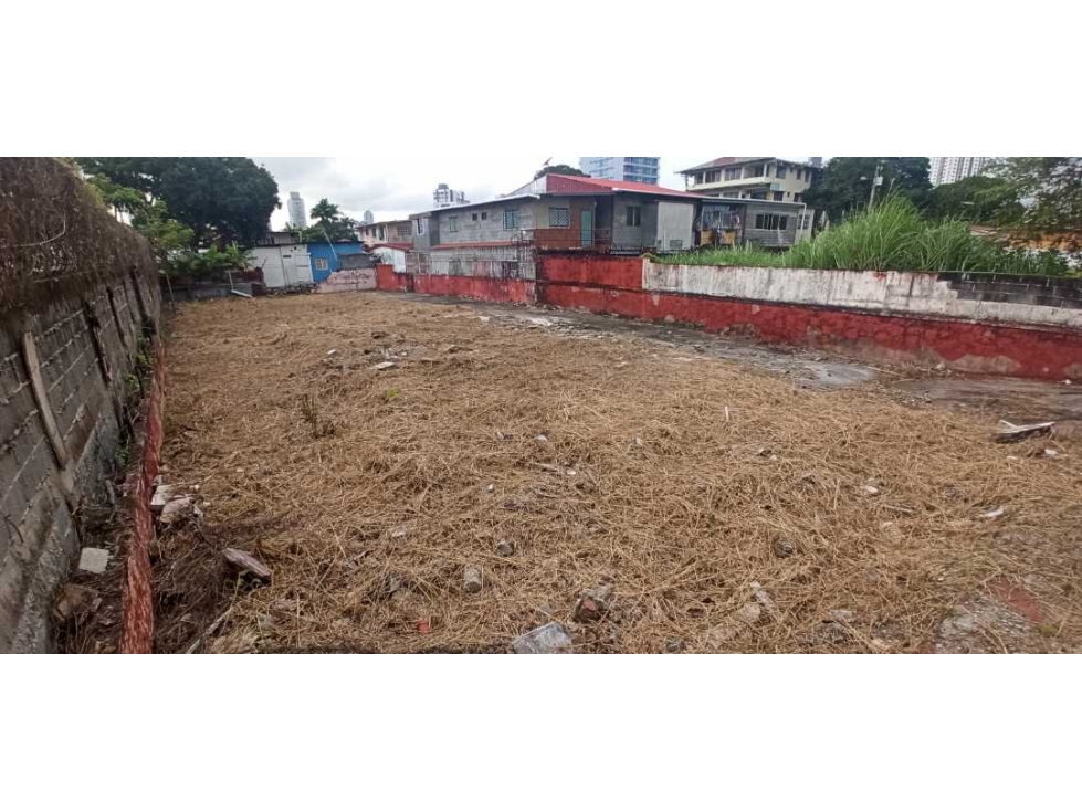 Se Vende TERRENO!! Con Excelente ubicación en Parque Lefevre. - 2