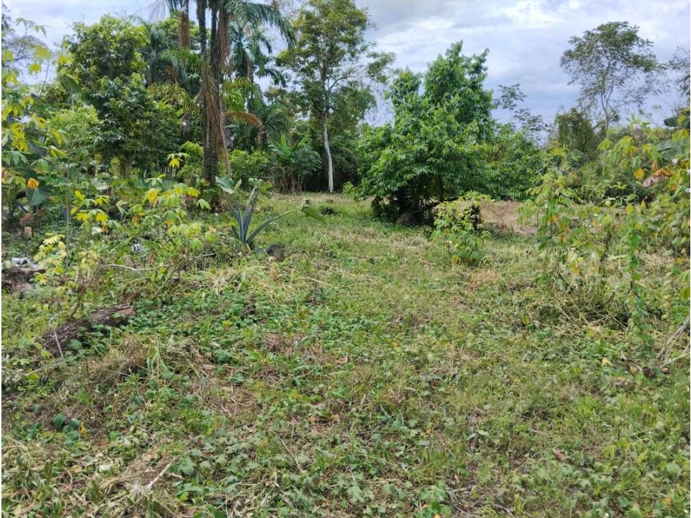 Se vende terreno de 500 mtrs en Solano, Bugaba - 1