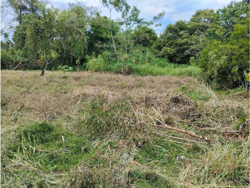 Se vende terreno de 500 mtrs en Solano, Bugaba - 2