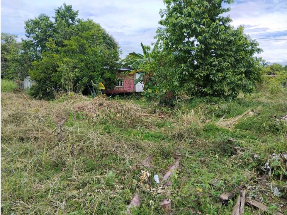 Se vende terreno de 500 mtrs en Solano, Bugaba - 3