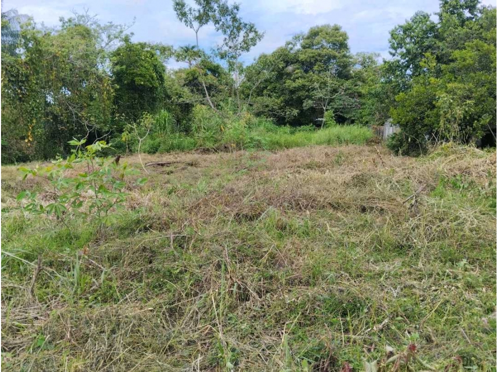Se vende terreno de 500 mtrs en Solano, Bugaba - 4
