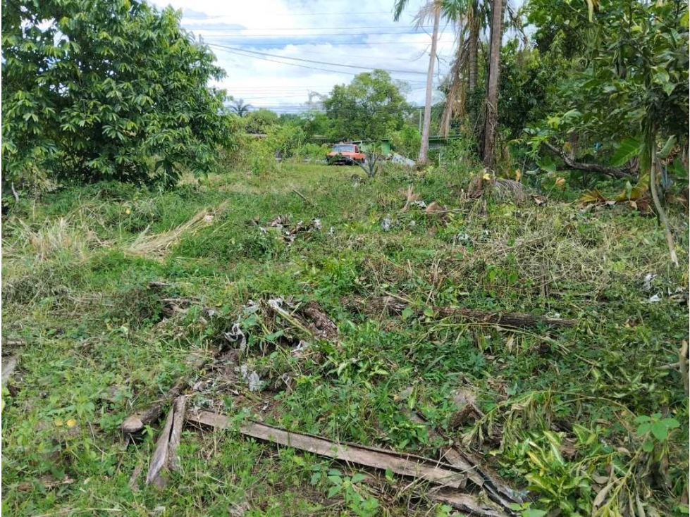 Se vende terreno de 500 mtrs en Solano, Bugaba - 5