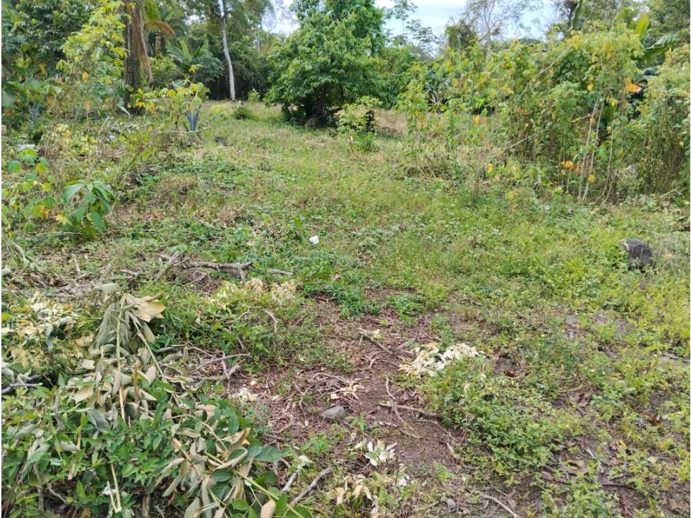 Se vende terreno de 500 mtrs en Solano, Bugaba - 6