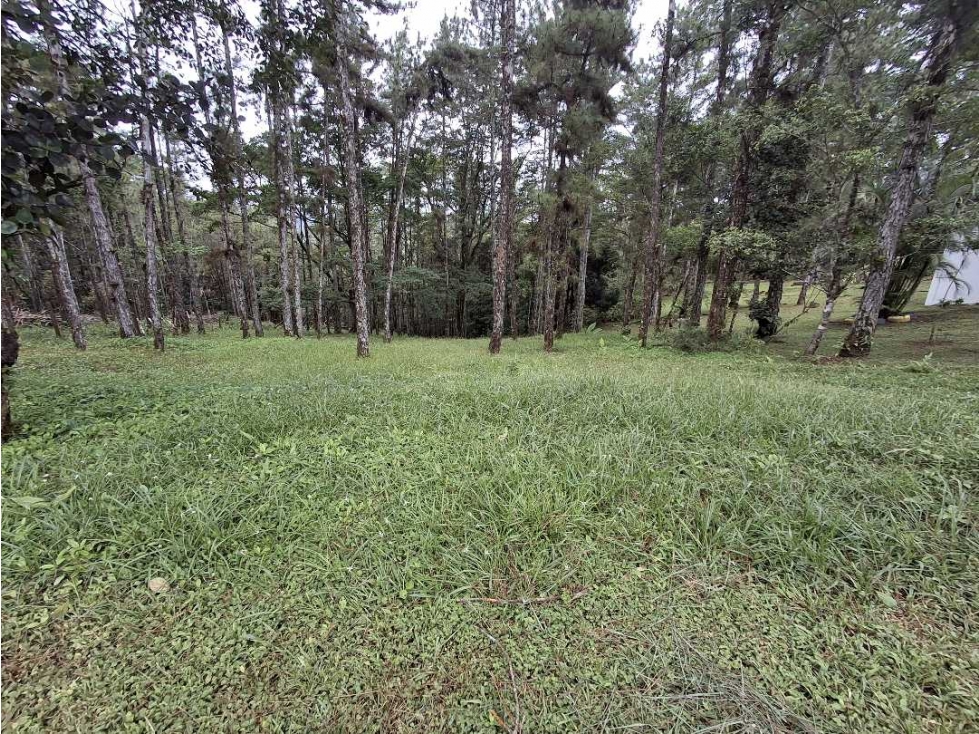 Se vende terreno en Altos de Cerro Azul