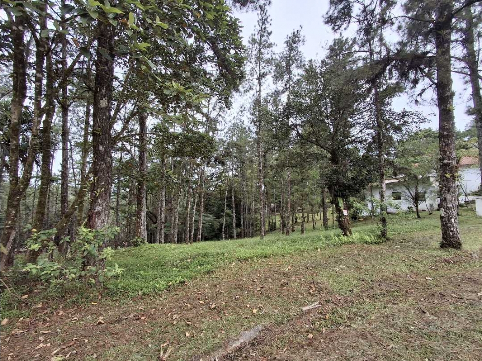 Se vende terreno en Altos de Cerro Azul — foto 2