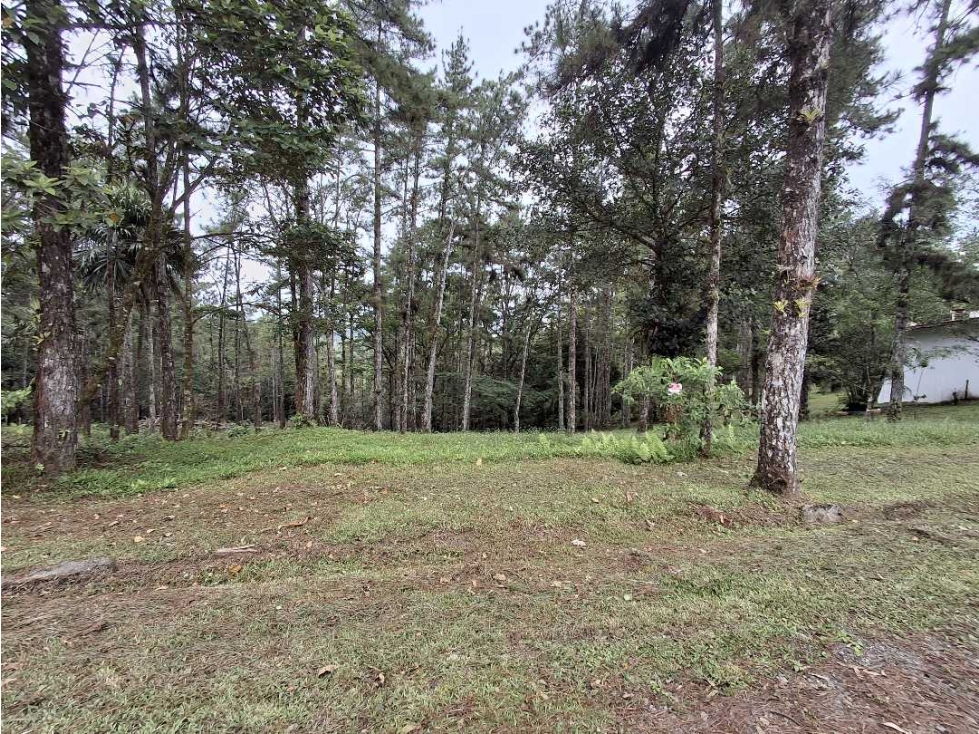 Se vende terreno en Altos de Cerro Azul — foto 3