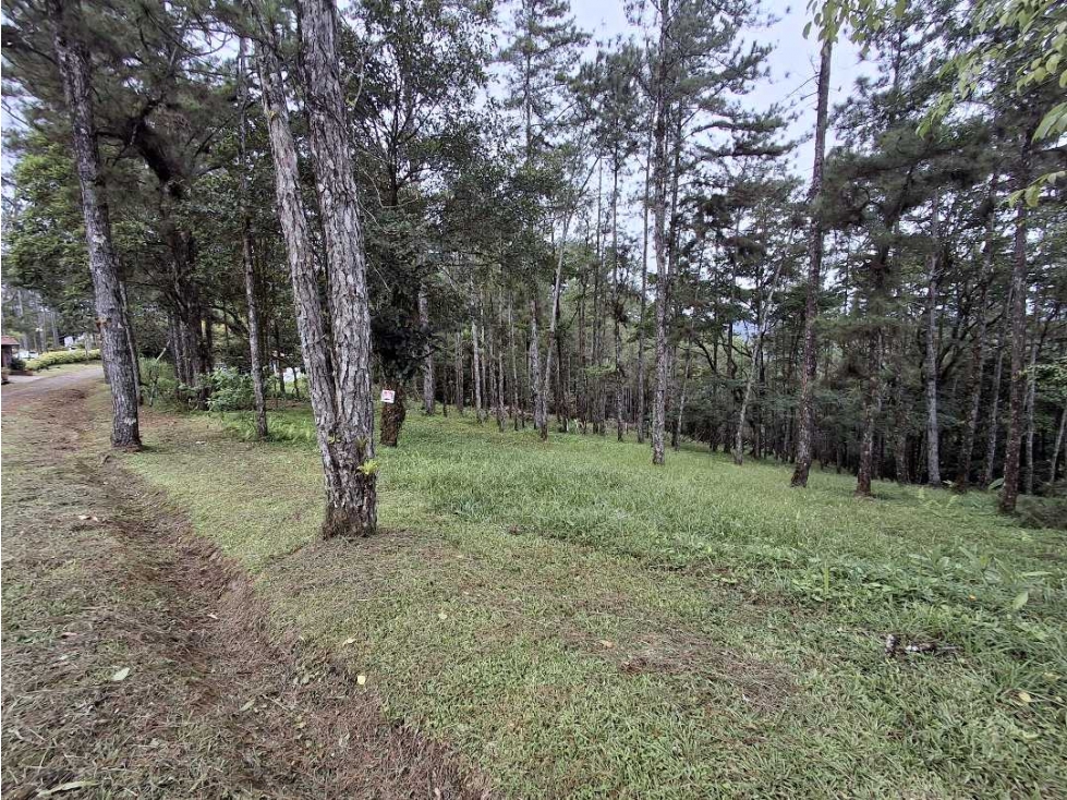 Se vende terreno en Altos de Cerro Azul — foto 6