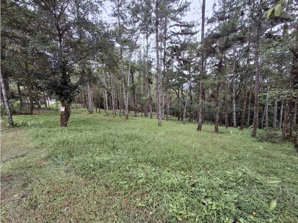 Se vende terreno en Altos de Cerro Azul — foto 5