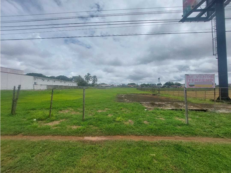 Se vende terreno en area comercial Chitré. - 4