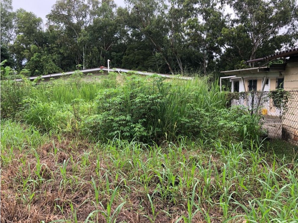 LOTE EN VENTA PLAYA CORONADO — foto 6
