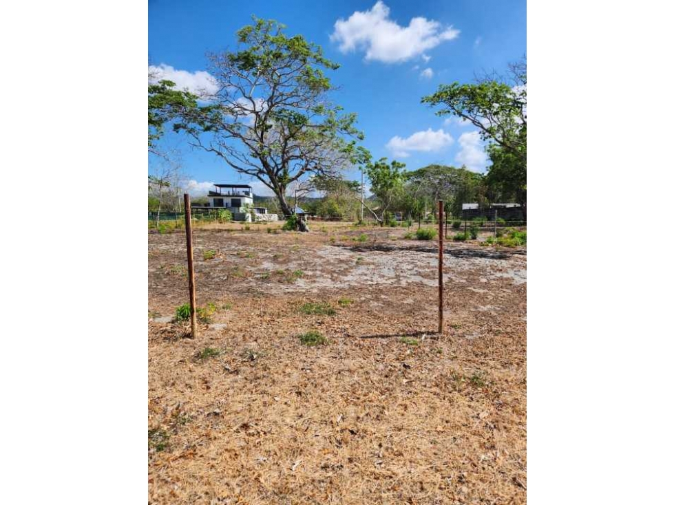 Se vende Terreno en frente a la Playa Malibu de 1,300 mts $350K - 4