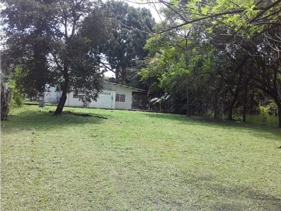 SE VENDE TERRENO EN GORGONA