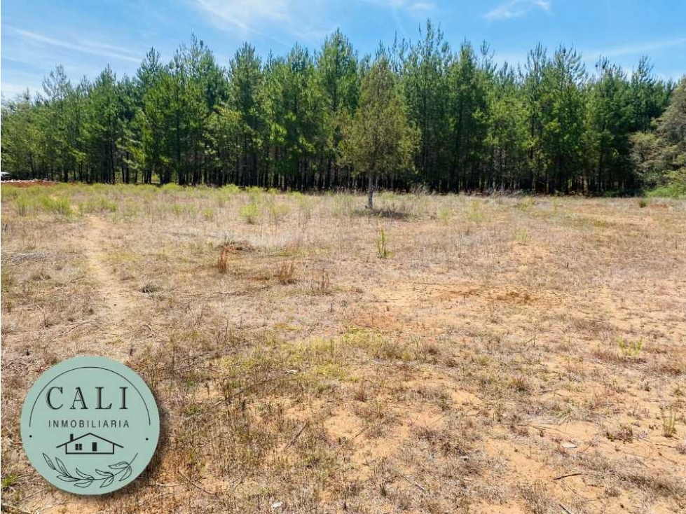 Terreno en VENTA en Huasca, Hidalgo. Hadas