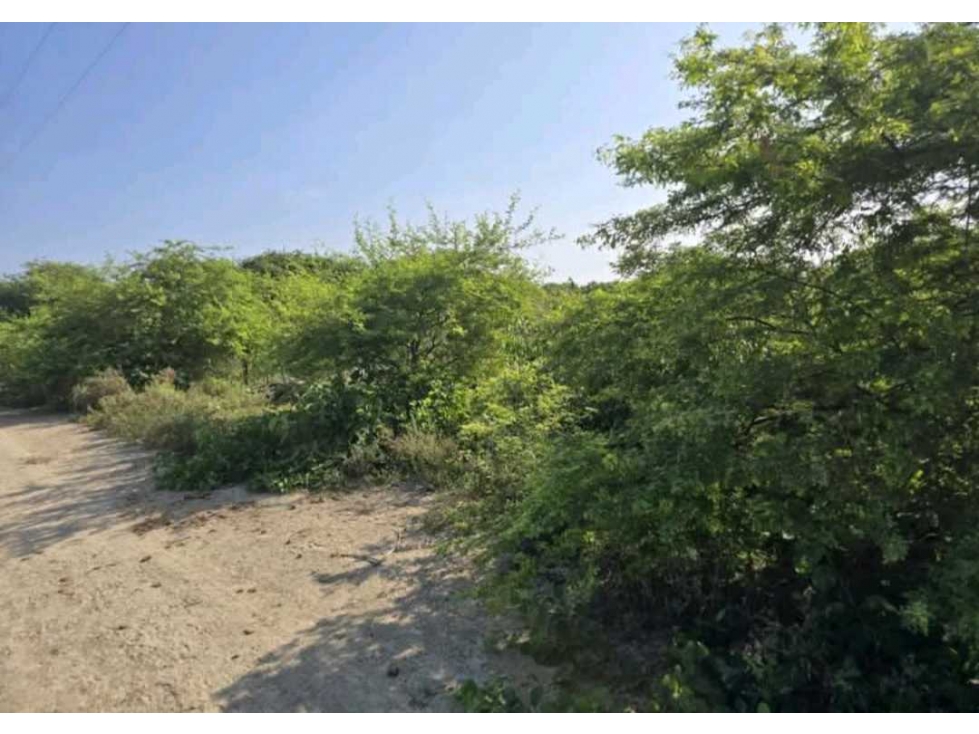 Se vende terreno en Isla Puná - 2