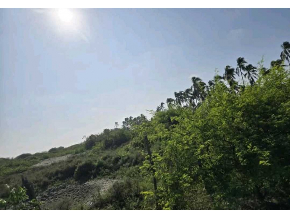 Se vende terreno en Isla Puná - 3