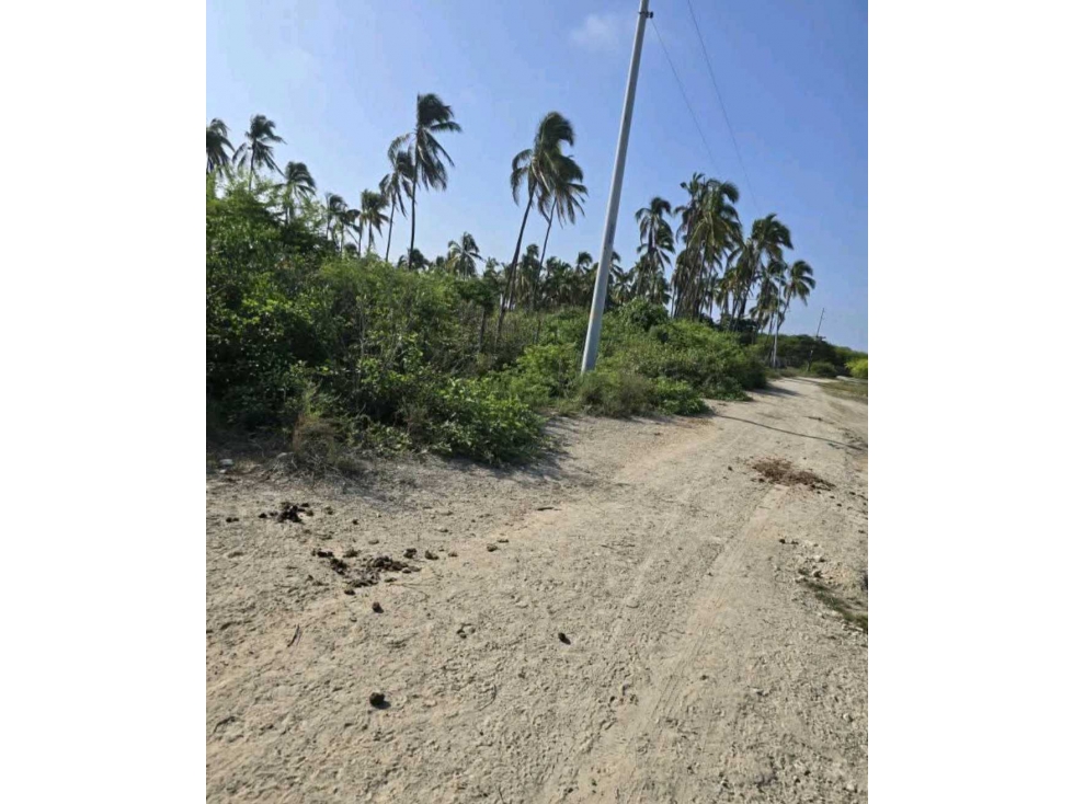 Se vende terreno en Isla Puná - 4
