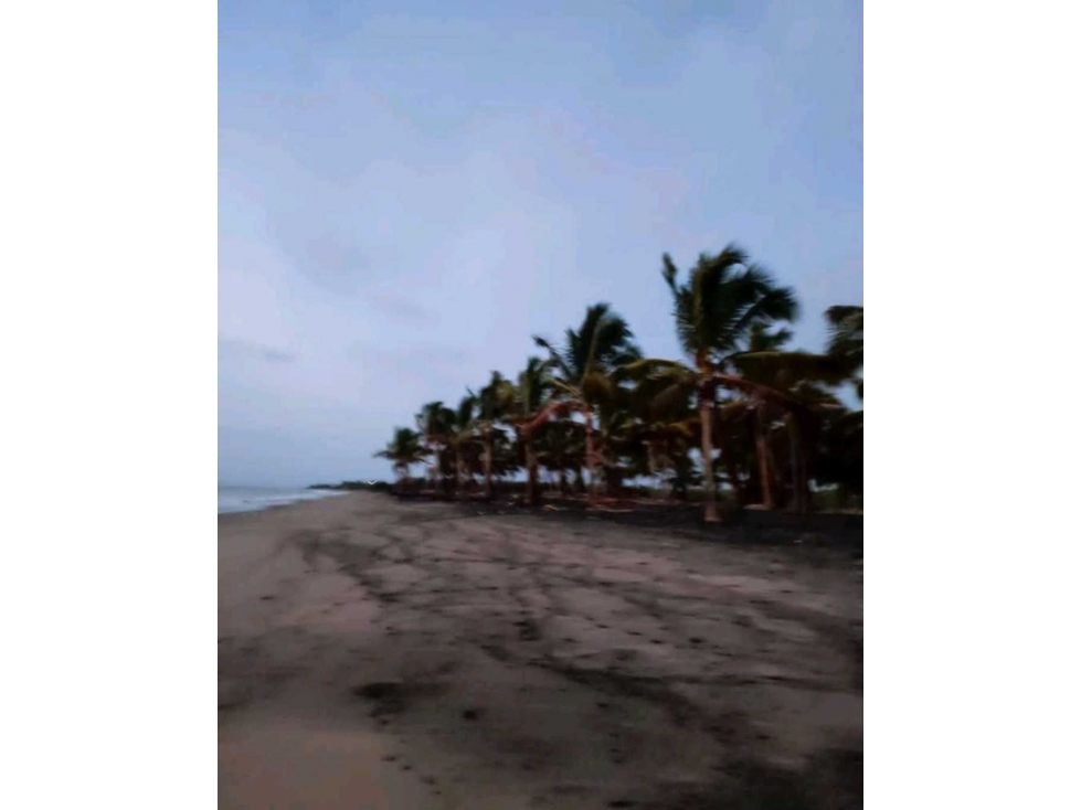 Se vende terreno en Isla Puná - 5