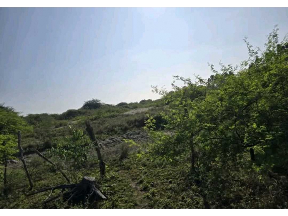Se vende terreno en Isla Puná - 6