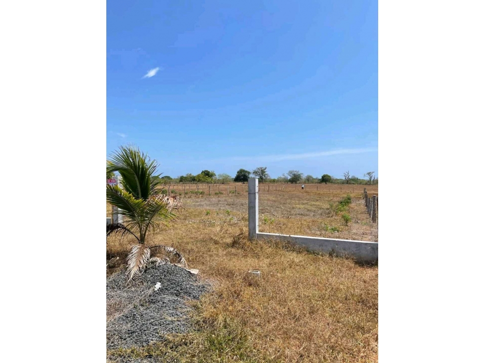 SE VENDE TERRENO EN POCRÍ 1449 m² - LOS SANTOS - 2
