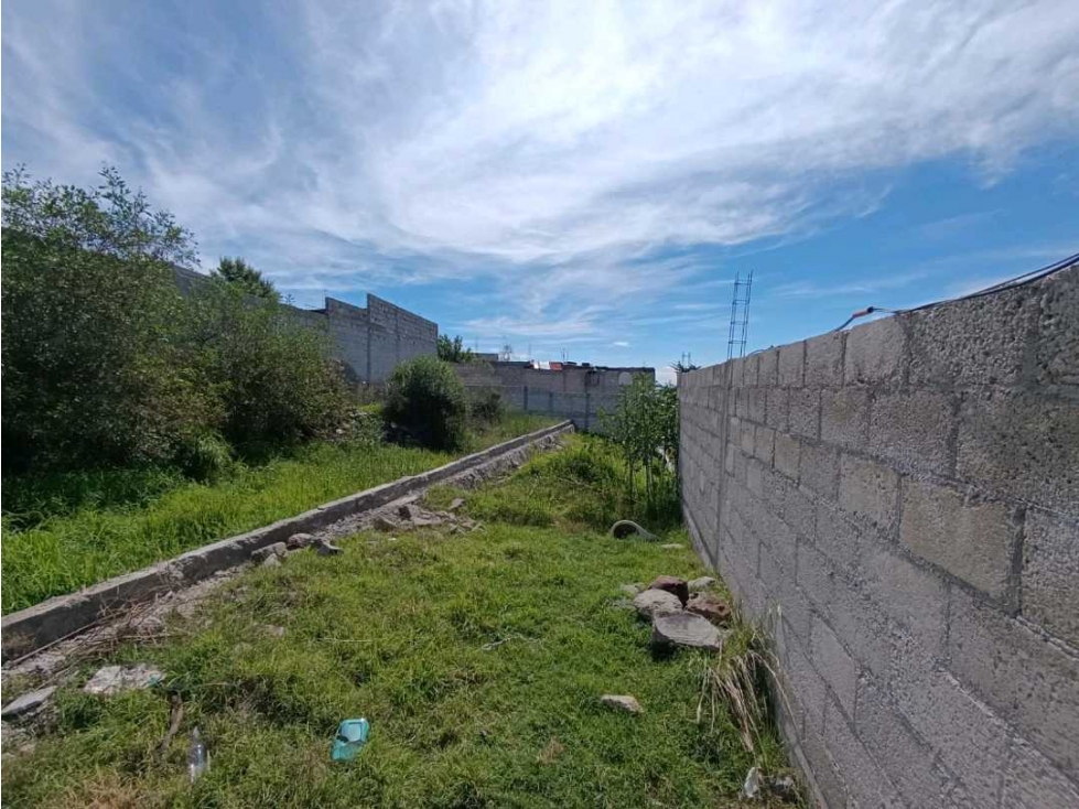 SE VENDE TERRENO EN PUEBLO DE LA CRUZ HUAMANTLA - 4